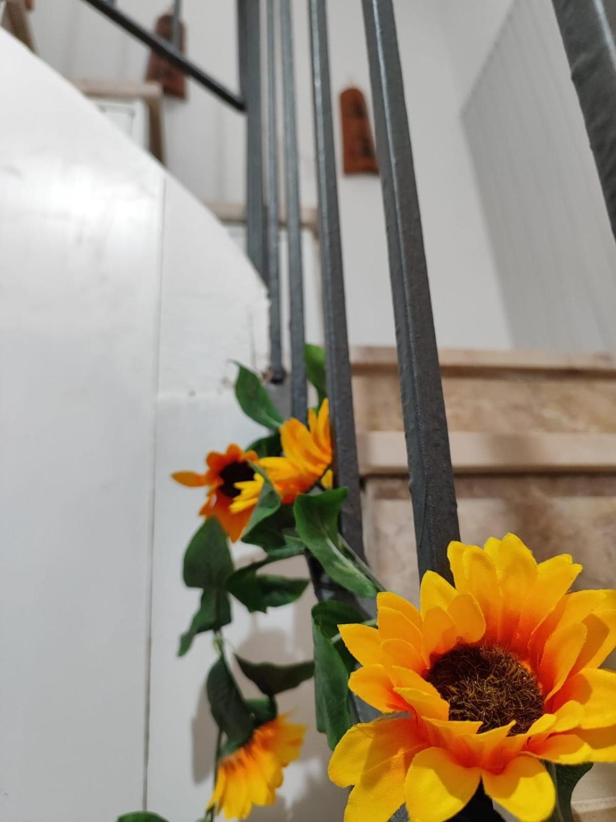 Casa Vacanze Con Giardino I Girasoli - Cin It 09006 - 9 C 2000 R4042- Sorso Zewnętrze zdjęcie